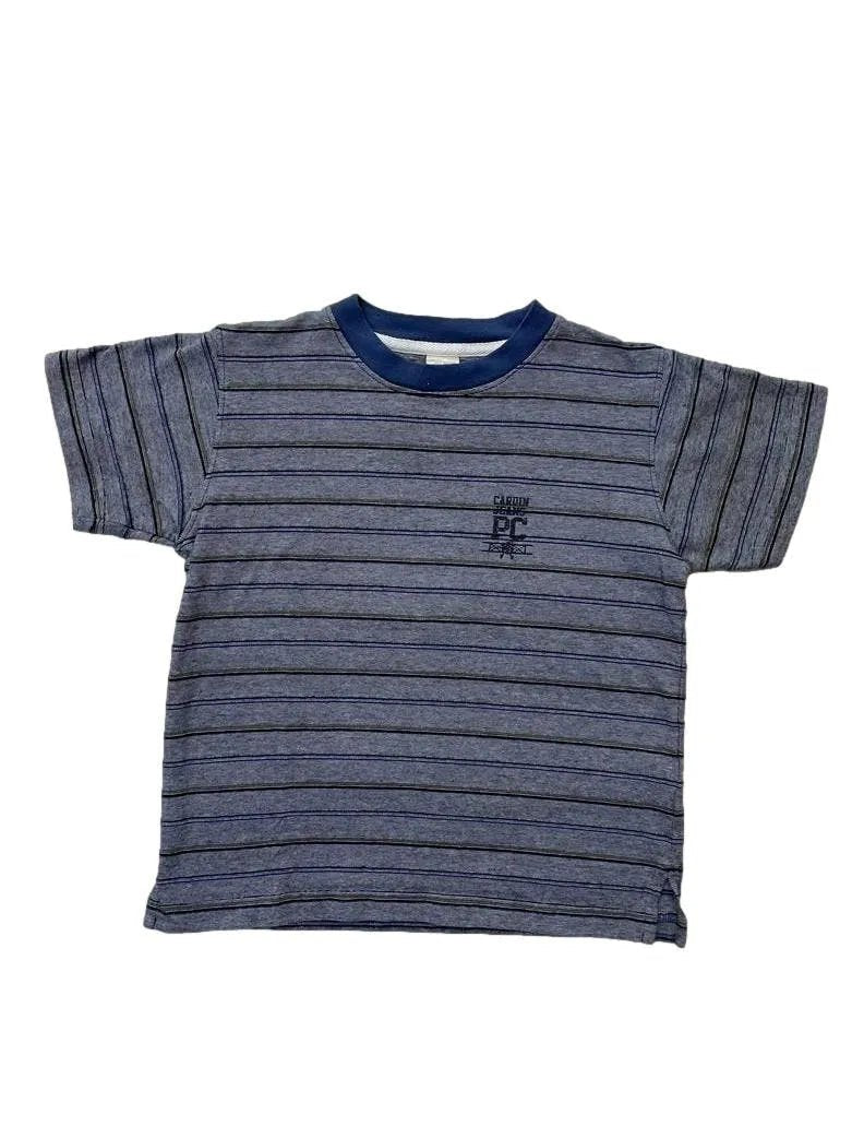 Polo Pierre Cardin azul